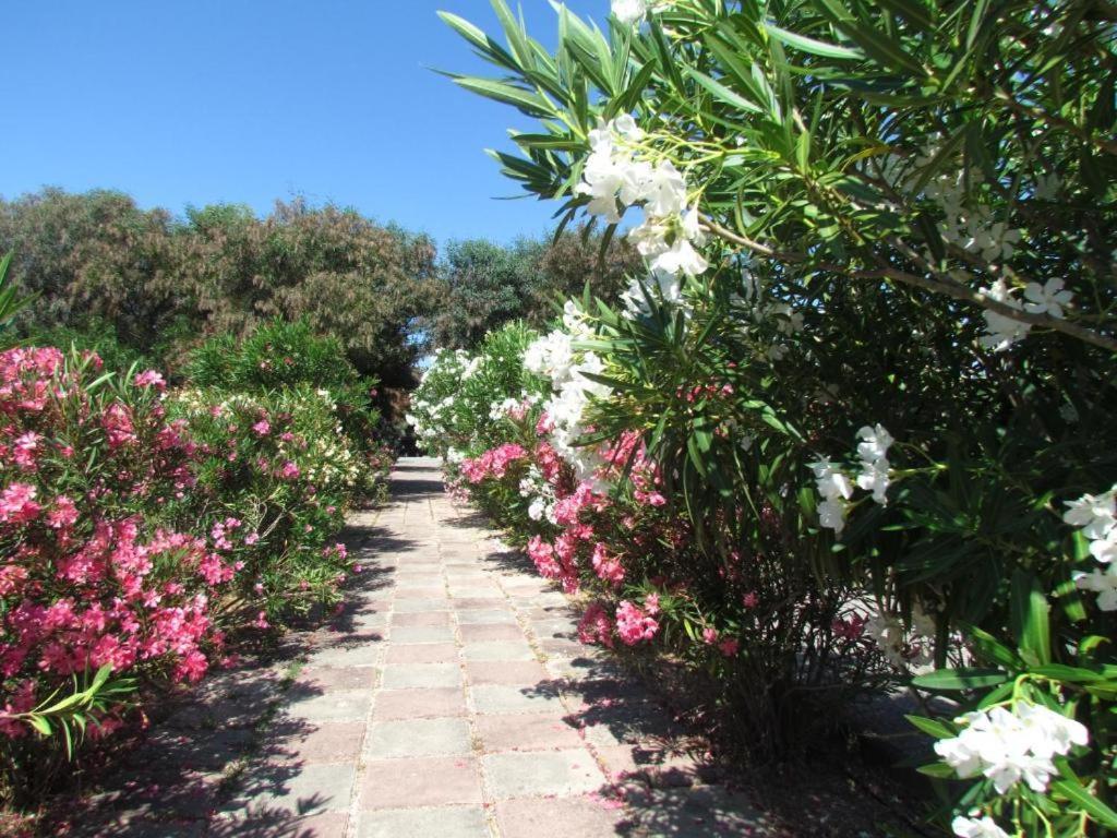 Happy Camp Mobile Homes In Camping Village Baia Paradiso Badesi Buitenkant foto